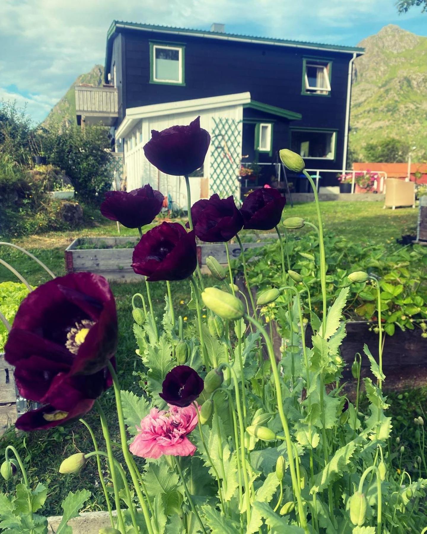 Valberg Gjestegard Eksteriør bilde